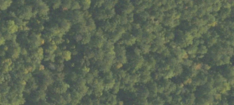 Gently Sloped Homesite Tract