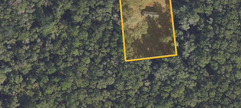 Cleared Homesite with Mature Trees