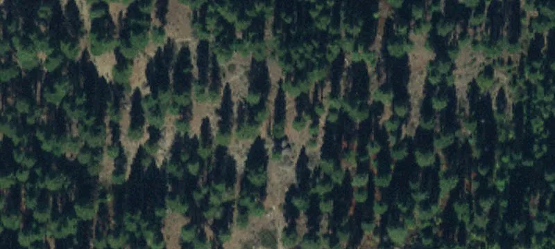 Recreational Hunting Land Parcel