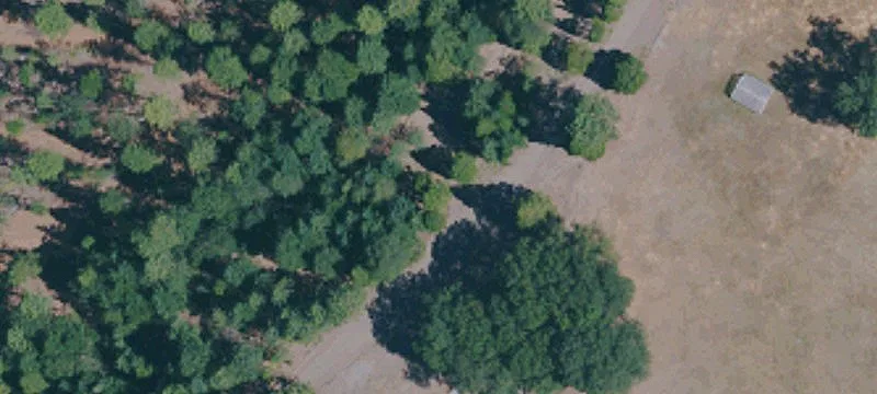 Ranch with Flood-Irrigated Pasture
