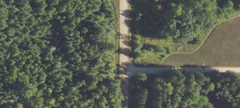 Recreational Hunting Land with Lodge