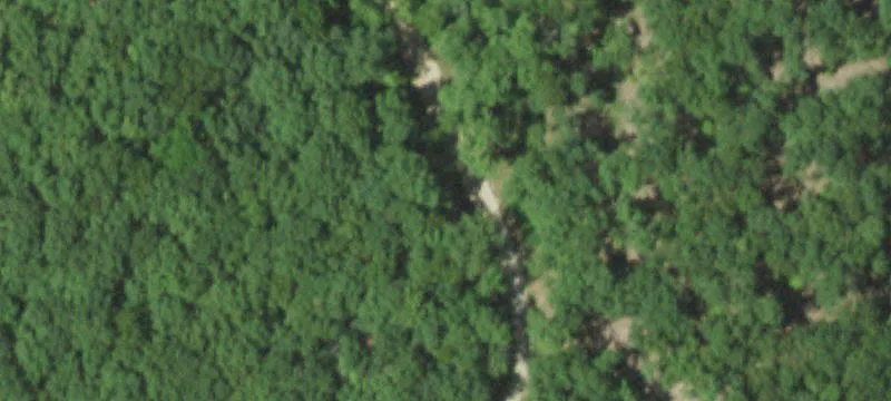 Hobby Farm with Log Home