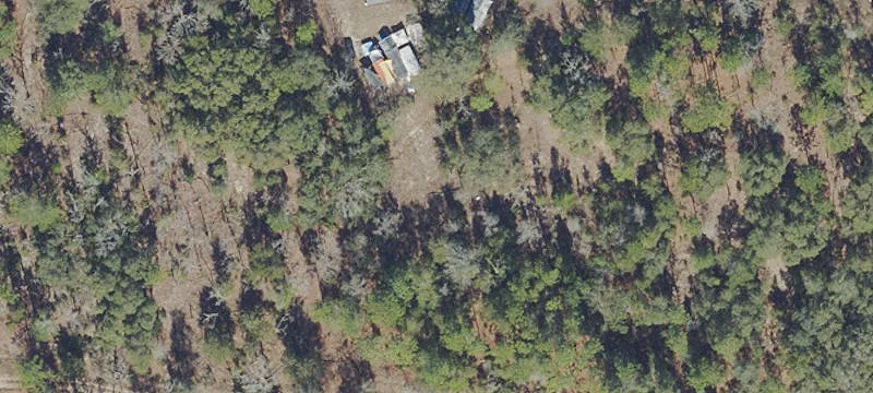 Wooded Agricultural Land with Road Frontage