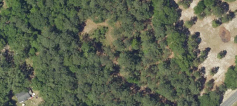 Agricultural Land with Timber