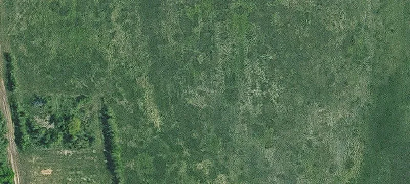 Productive Pasture with Cross-Fencing