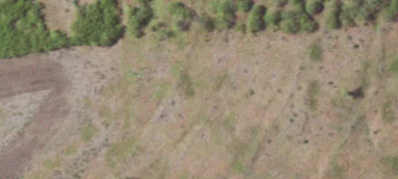 Hunting and Recreational Land
