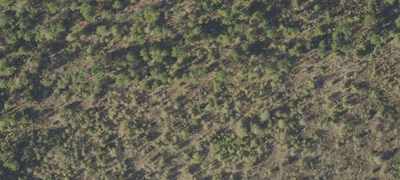 Residential Land Parcel with Build Restrictions