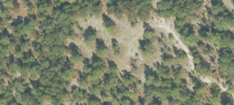 Acreage with Possible Hunting