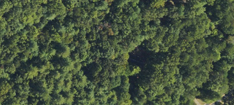 Unrestricted Wooded Land Tract