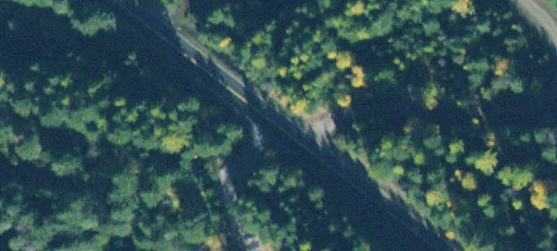 Recreational Timber Land with Creek