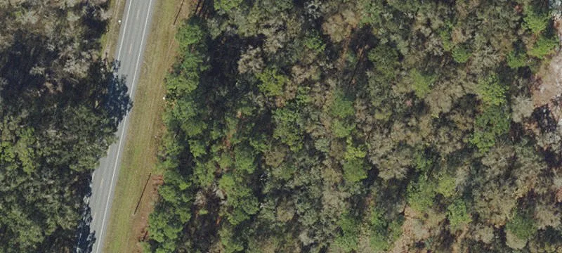 Residential Land Lot Off Cashew