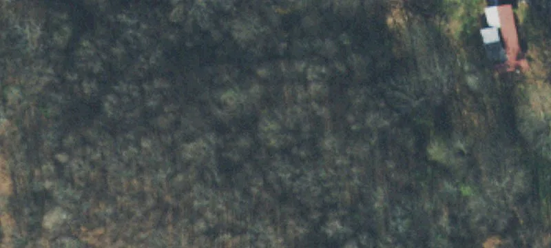 Treed Building Site Lot