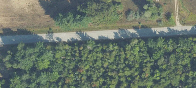 Hunting Camp Acreage with Trails