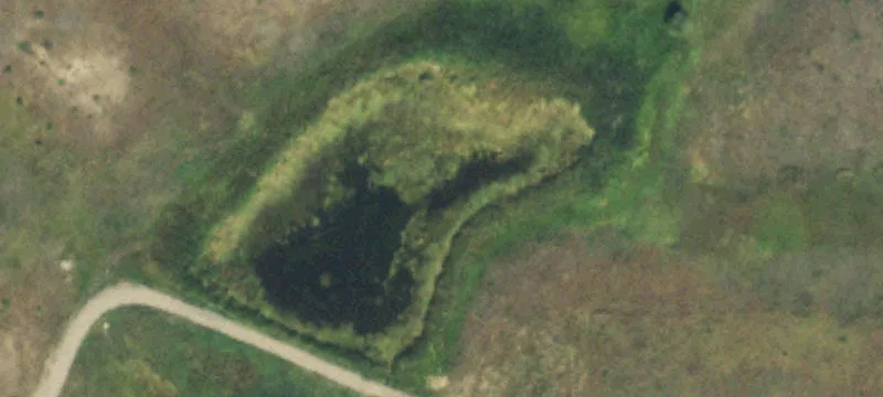 Mountain View Horse Property