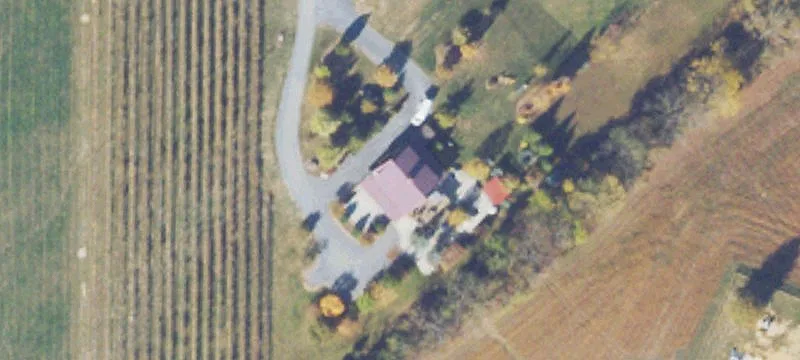 Boutique Winery and Vineyards