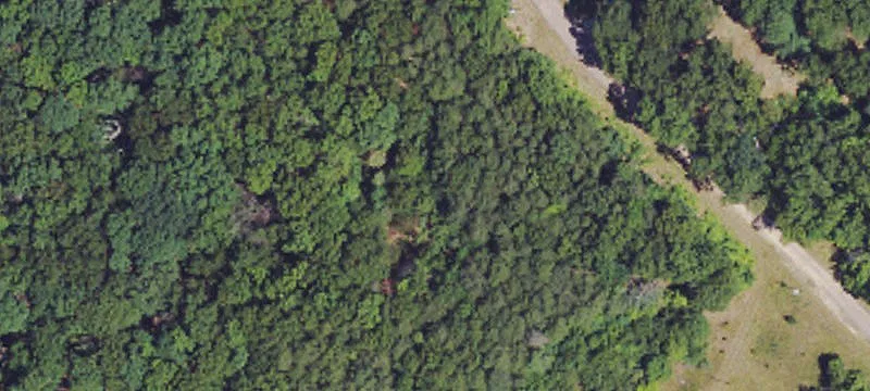 Wooded Residential Development Lot