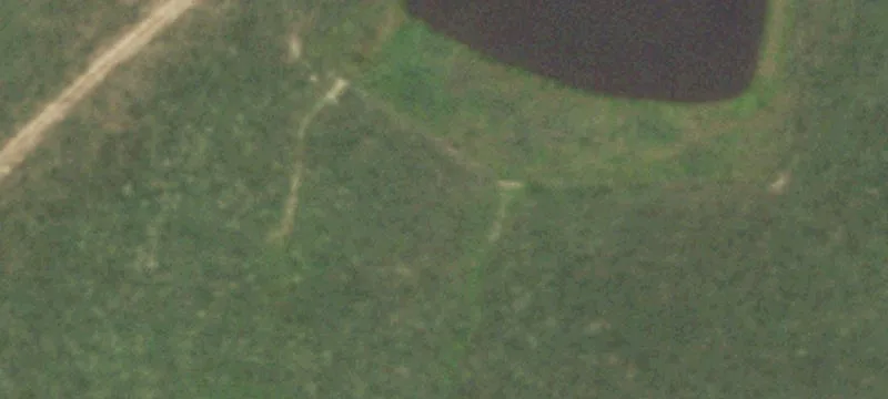 Recreational Farmland Tract with Timber