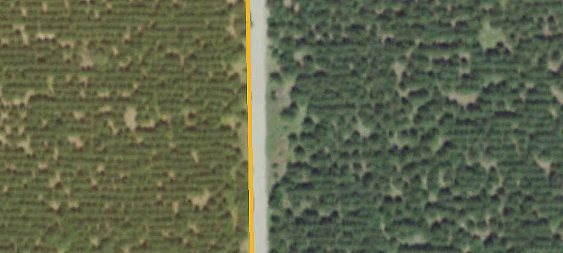 Wooded Timber Recreational Land Tract