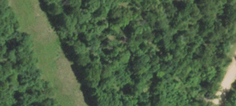 Hunting Land Tract