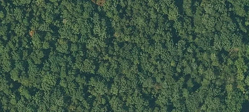 Build-Ready Residential Land Parcel