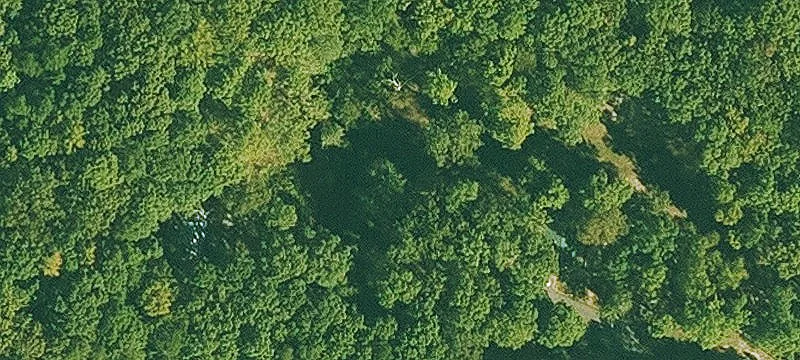 Wooded Development Land Parcel
