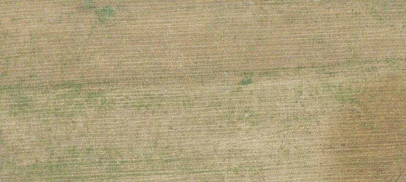Riverfront Dairy Farm Property