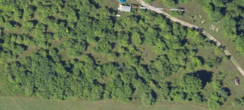 Northern Michigan Hunting & Recreation Land