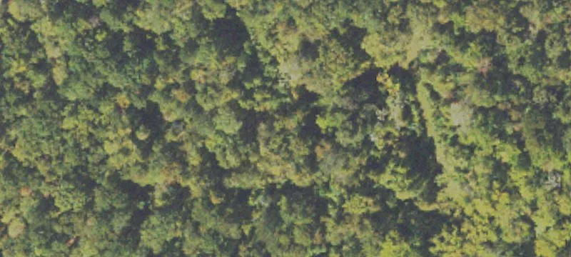 Recreation Land for Sale
