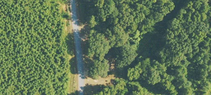 Fenced Pasture with Elevated Homesite