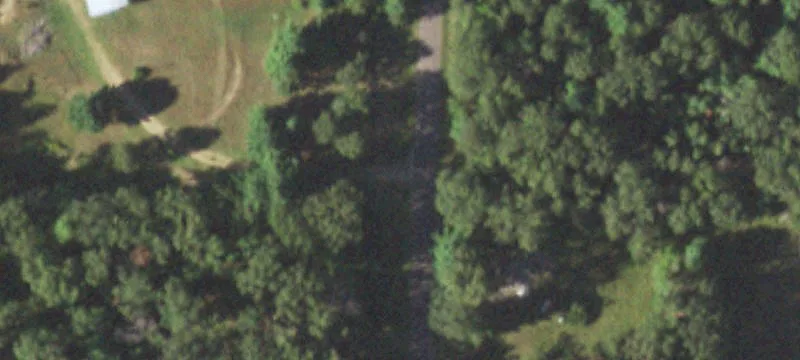 Timber Hunting Tract with Open MFL