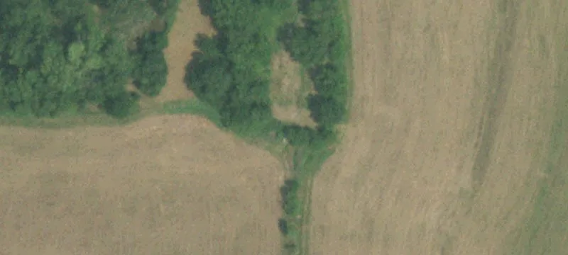 Farm with Guest Quarters