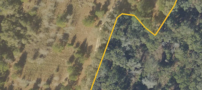 Vacant Residential Lot with Trees