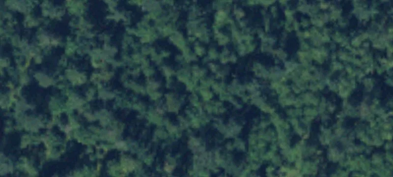 Secluded 5-Acre Home Lot