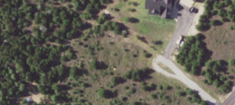 Tree-Covered Residential Home Site