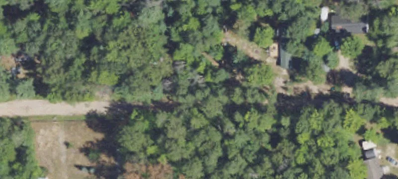 Recreation Forest Land with Creek