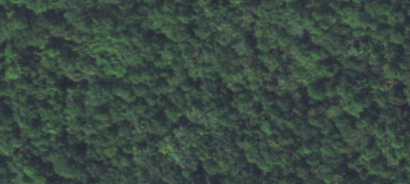 Recreational Hunting Land Tract