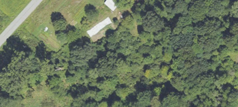 Vacant Wooded Land Parcel