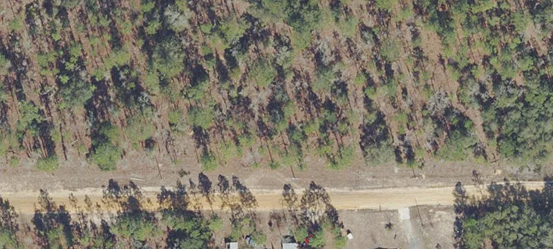 Wooded R-2 Buildable Lot