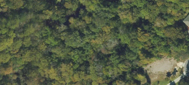 Wooded Waterfront-Adjacent Home Lot