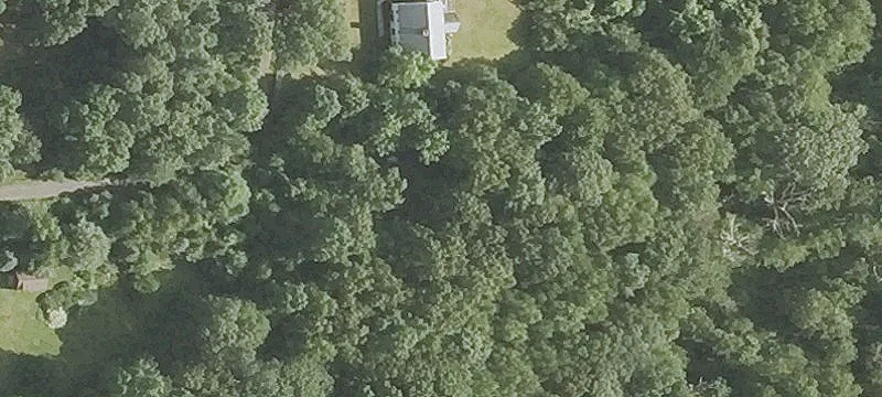 Wooded Residential Homesite