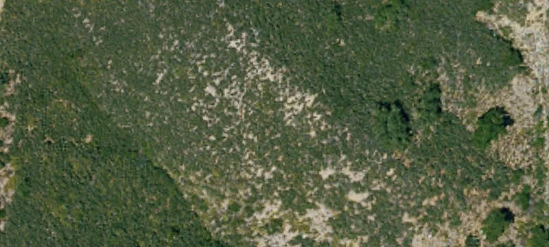 Agricultural Land Parcel