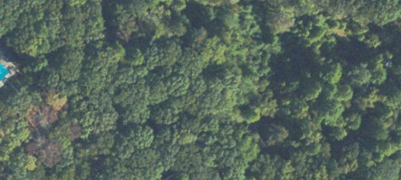 Agricultural Land Tract with Creek