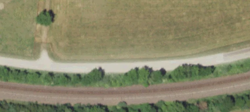 Cattle Farm with Stocked Lake