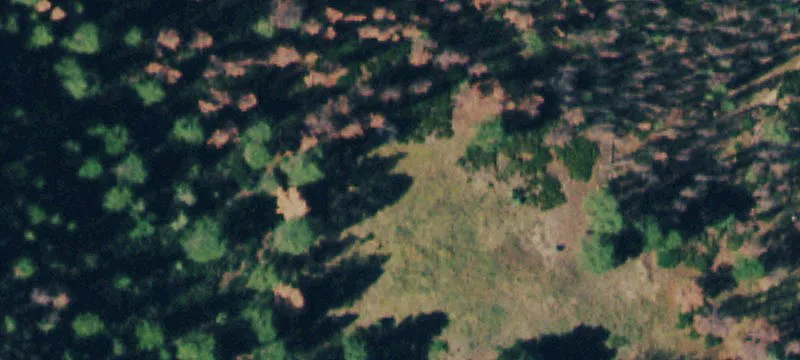 Ranch With Barndominium And Arena