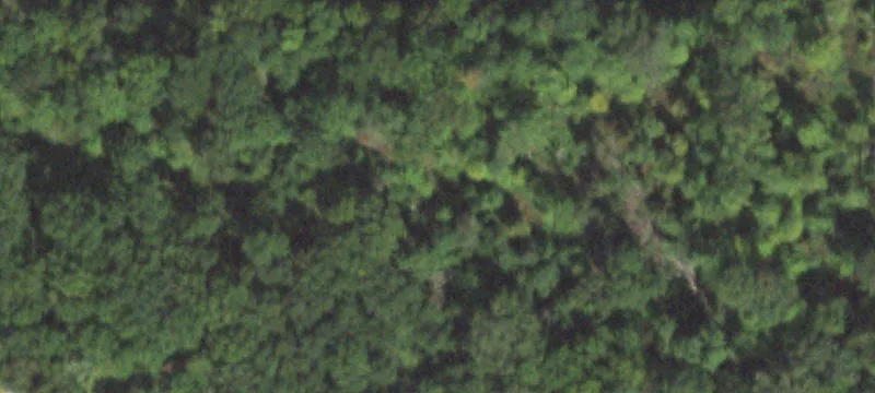 Agricultural Land Tract
