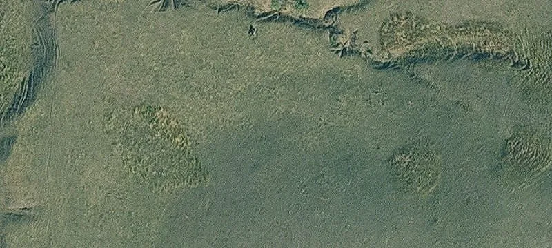 Timberland with Stocked Pond