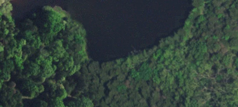 Raw Land with Pond and Trees