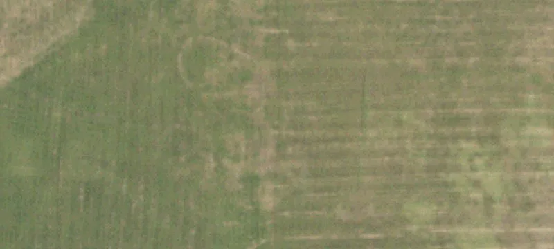 Open Acreage Homesite Lot