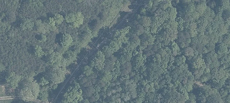 Densely Wooded Hunting Retreat Land