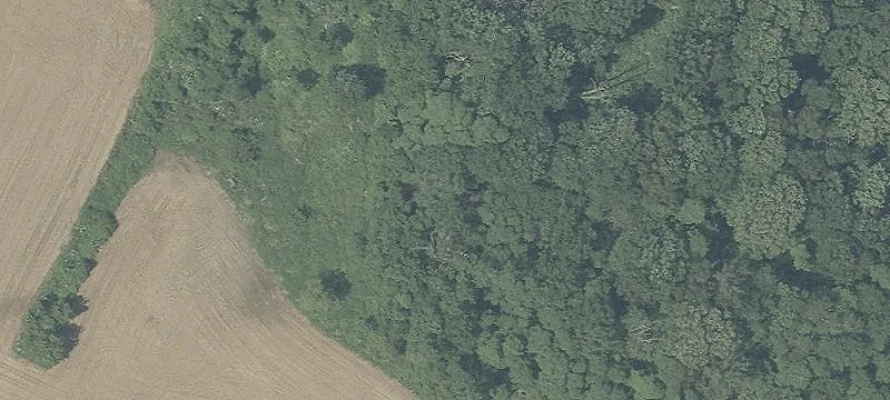 Agricultural Land with Farm Buildings